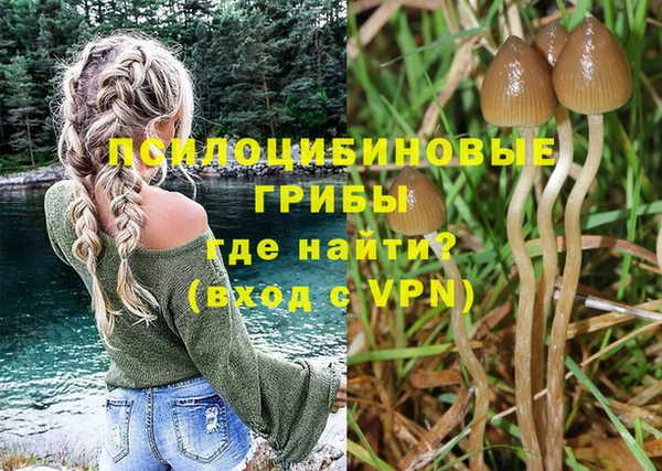тгк Алексеевка