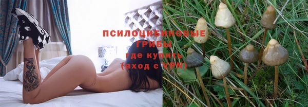 кокс Алексин